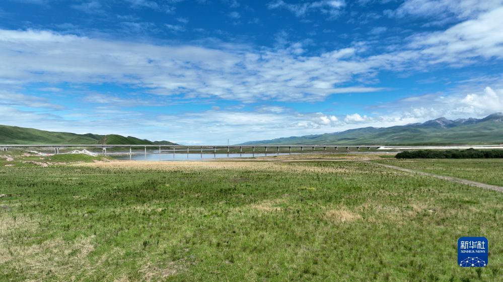 大发登录客户端